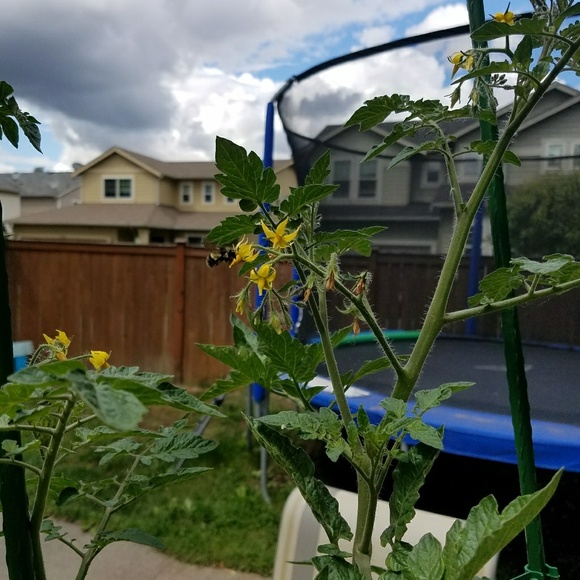 Meet your Posher, Aly - Picture 2 of 3